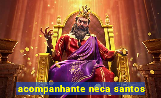 acompanhante neca santos